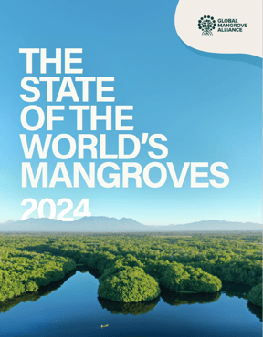 Mangrove Report
