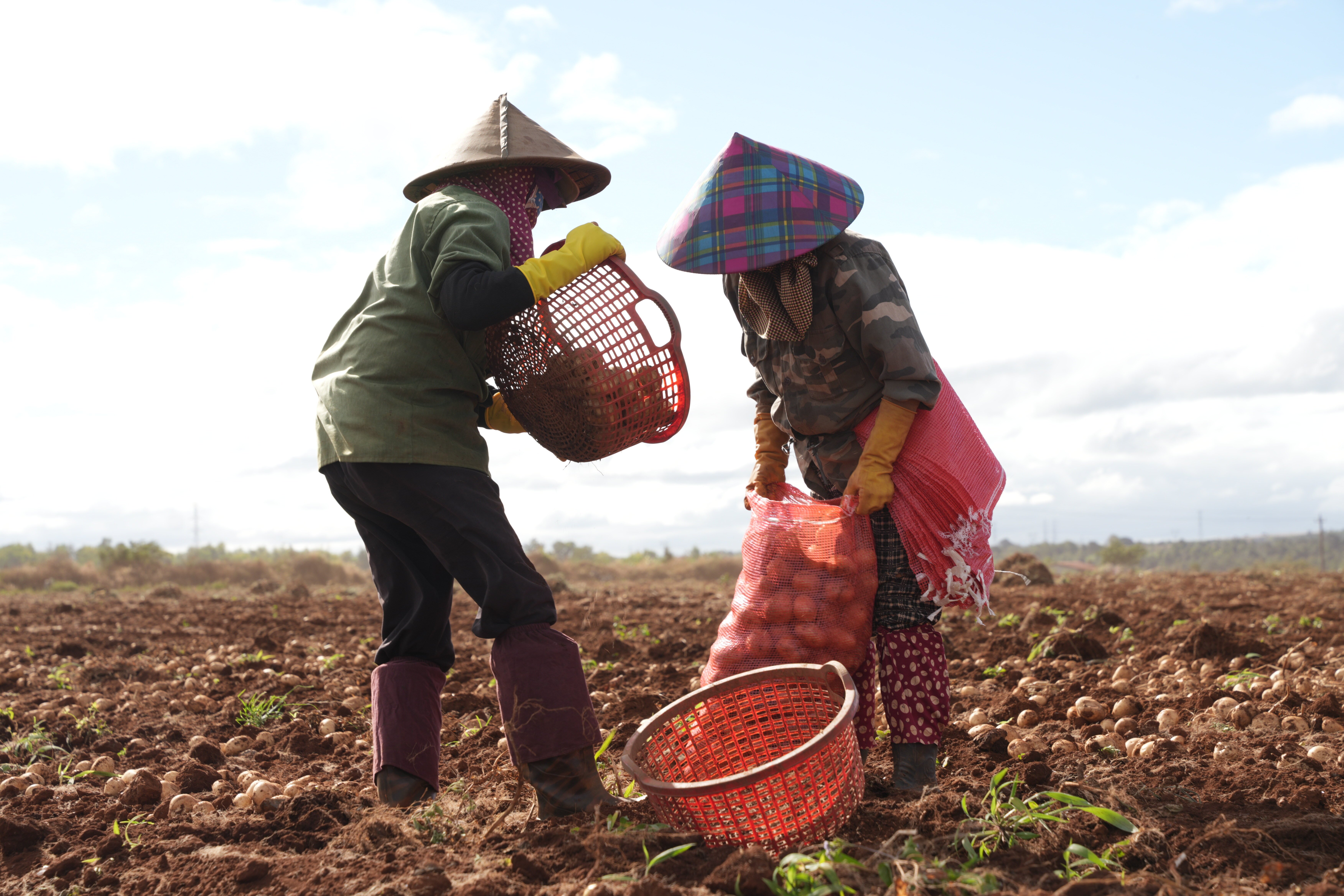 USAID PepsiCo GDA Vietnam 